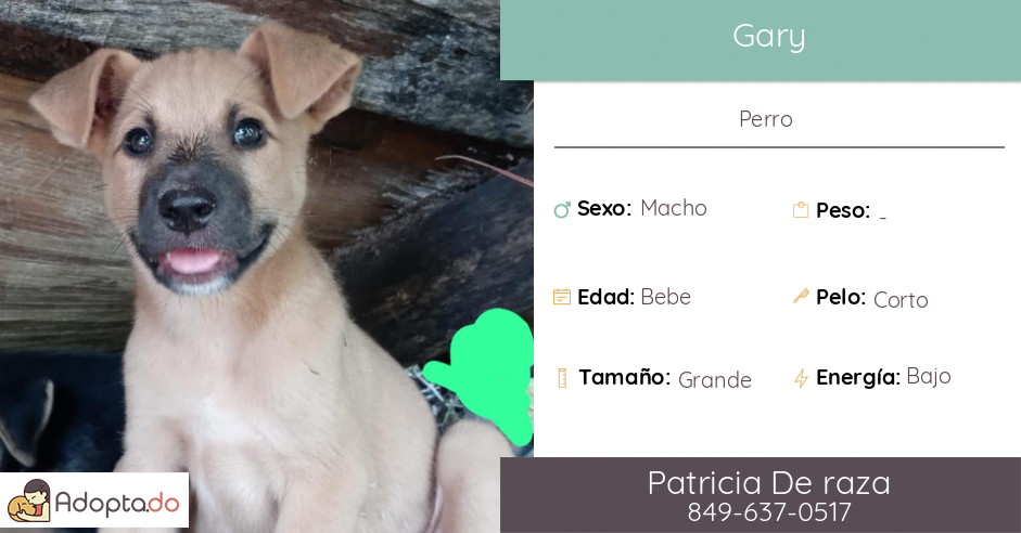 Adopta.do - Gary